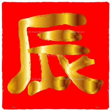 金辰 字